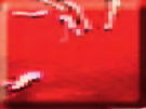 PORPRJZ Z BSTLLJST 015 Kanonslag shising 200 stuks. 315 Grondbloem Grote kleurige wondertol. Originele afmeting en kwaliteit. 50 stuks. 069 Red dragon De originele Chinese rol met eindknal!