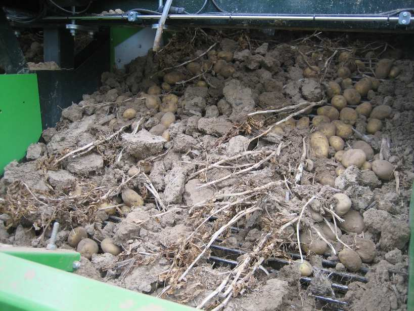 6 Demonstratie grondbewerking in consumptie aardappelen Uit de praktijk komen geluiden dat niet kerende grondbewerking voor de teelt van consumptieaardappelen zou leiden tot meer grondtarra tijdens
