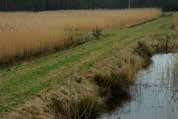 drinkfontein Amsterdam waterzuivering drinkfontein Praag IV Schoon en voldoende Omstreeks 1950 komt de waterkwaliteit en kwantiteit sterk in beeld, mede om de landbouwkundige productie te bevorderen.