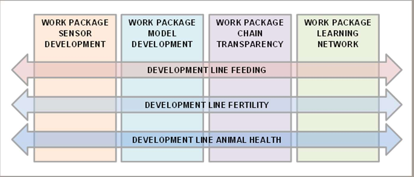Structuur van het SDF project Matrix van ontwikkel