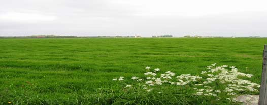 Boterhuispolder heringericht. Groen of Groen? Binnenkort presenteert de gemeente Leiderdorp een herinrichtingsplan voor de Boterhuispolder.