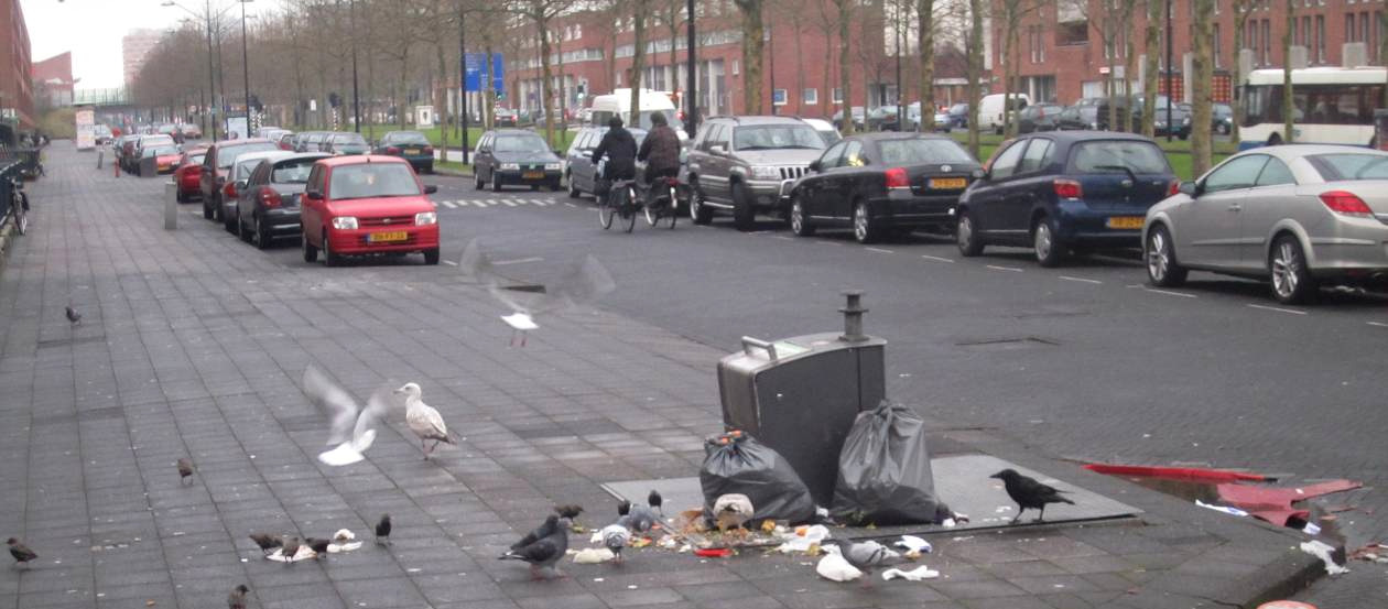 Geluidsoverlast en botsende leefstijlen Een andere vorm van overlast, geluidsoverlast, wordt deels ook geaccepteerd: Het is minder erg wanneer je weet dat ouders hun kinderen aanspreken op lawaai