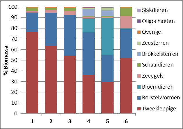 in proefvakken 1, 2 en 3, ii.-de borstelwormen en de zee-egels in proefvak 6 en iii.-de borstelwormen en de bloemdieren in proefvakken 4 en 5. Figuur 9.