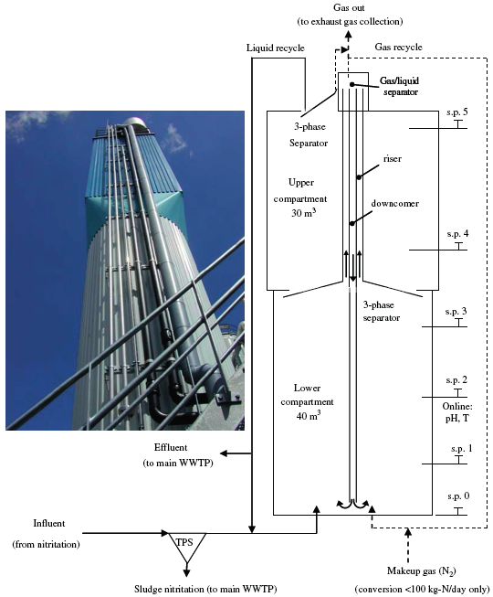 4 Evaluatie anammox te Sluisjesdijk In dit hoofdstuk is het Anammox proces op Sluisjesdijk beschreven. De reactor is afgebeeld in figuur 7. Figuur 7 anammox reactor te Sluisjesdijk 19 4.