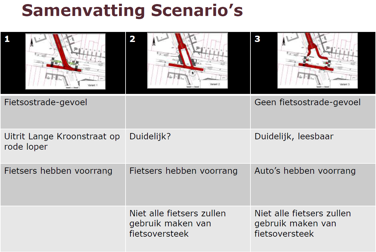 Afbeelding 2: de verschillende opties om de Oude Steenweg te kruisen.