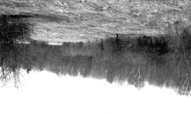 tuinen, een boomgaard of een stuk openbaar groen begrensd door paden of wegen. Iedere winter wordt hetzelfde stuk geteld.