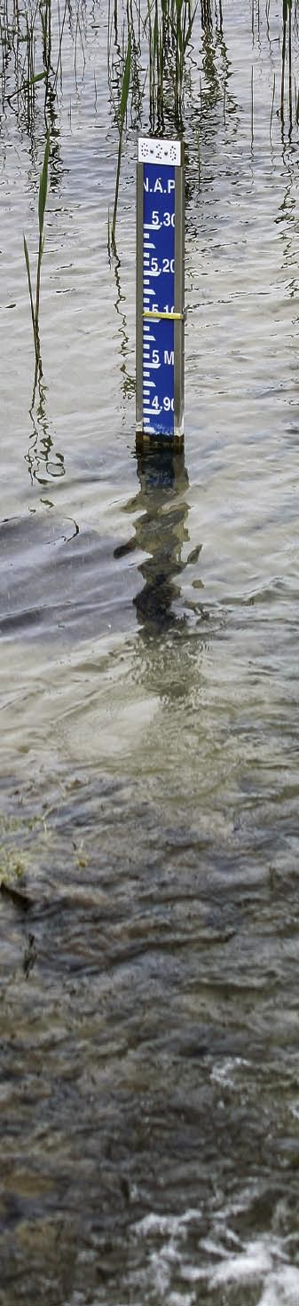 Achtergrond Oorspronkelijk bestond 20% van de Amsterdamse Waterleidingduinen uit zeldzame en kwetsbare wetlands.