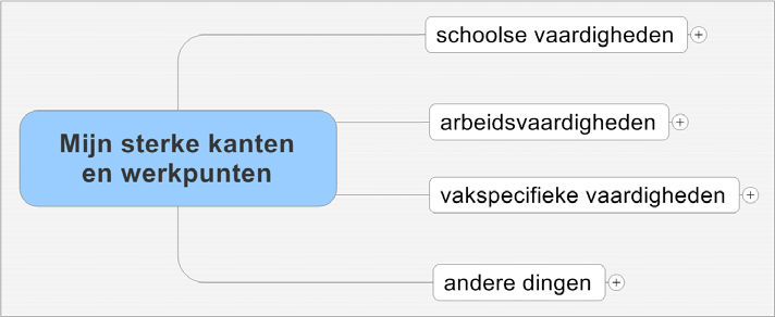 Papieren versie Mijn sterke kanten en werkpunten Schematisch overzicht Legende Een antwoord