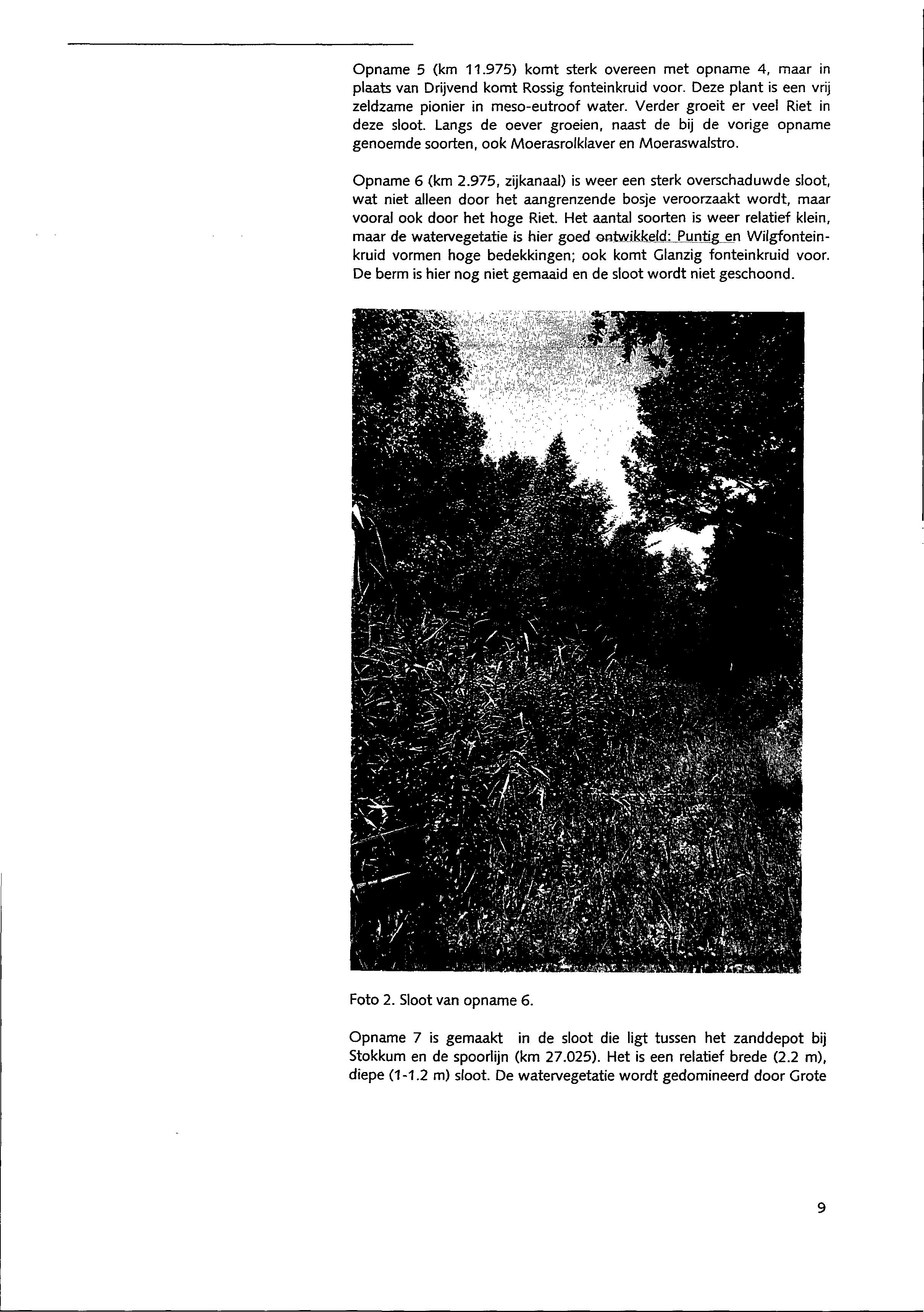 Opname (km.9) komt sterk overeen met opname, maar in plaats van Drijvend komt Rossig fonteinkruid voor. Deze plant is een vrij zeldzame pionier in meso-eutroof water.