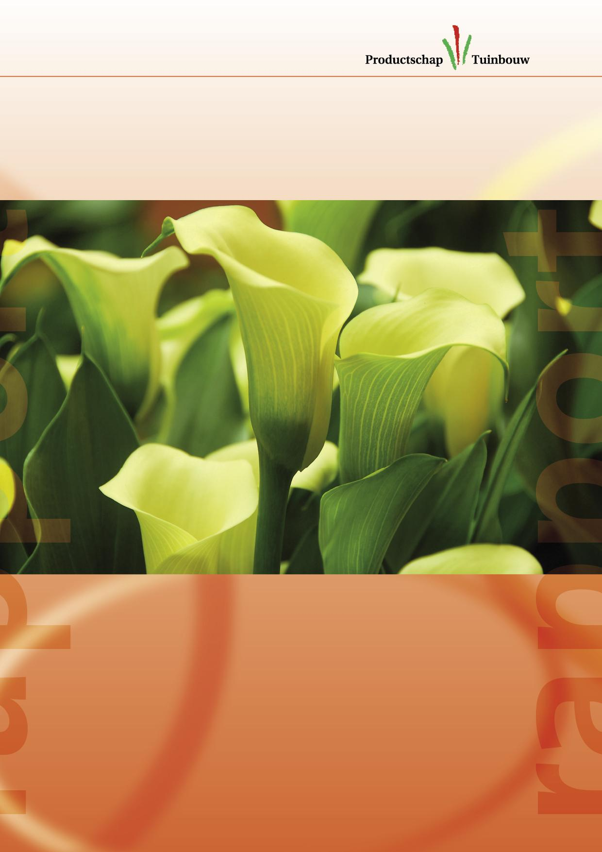 Groeipotentie voor Zantedeschia als tuinplant Onderzoek onder bloemisten en consumenten in