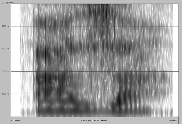 Fricatieven Stemlozefricatieven bestaan uit een periode van frictie, geproduceerd in de orale constrictie De spectrale eigenschappen van deze frictie-ruis worden bepaald door de precieze manier