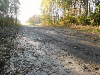 7. Rijbaan (C) Dit stukje weg is bekeken omdat het mogelijk zou aansluiten op de bedachte rolstoeltoegankelijke route.