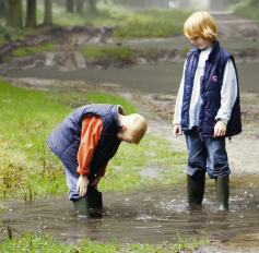 Het Waaijenbergpad: Lengte: 2,5 km Overige informatie: De route begint bij de picknickplaats aan de Meirseweg, te Zundert.