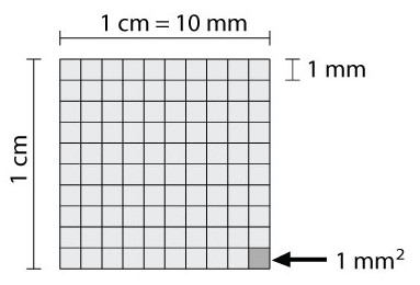 3.8. Oppervlaktematen omrekenen Wanneer je oppervlaktematen moet omrekenen kan je hetzelfde schema gebruiken als met de lengtematen.