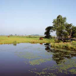 Groen achterland Denk aan de Zaanstreek en je denkt aan een oer-hollands landschap met molens, ontelbare sloten, slootjes met wuivende rietkragen en intens groene weilanden.