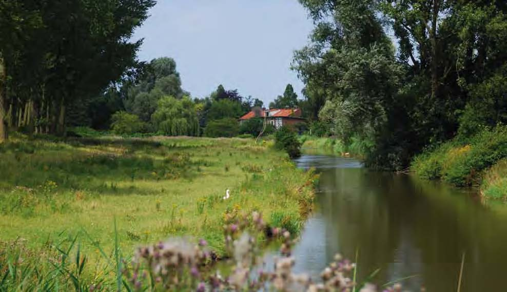 Nota Ruimte budget 48 miljoen euro Planoppervlak 1500 hectare Trekker Ministerie van Landbouw, Natuur en Voedselkwaliteit Westflank Haarlemmermeer Westflank