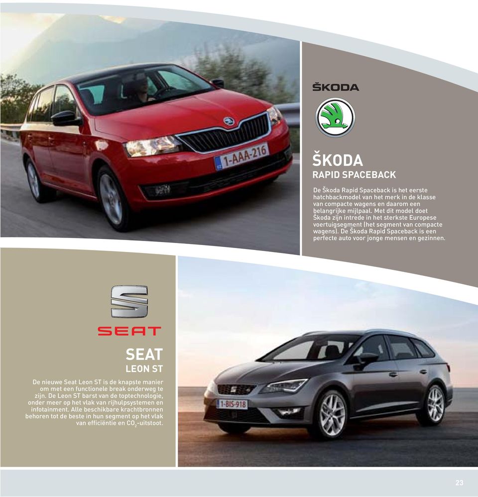 De Škoda Rapid Spaceback is een perfecte auto voor jonge mensen en gezinnen.