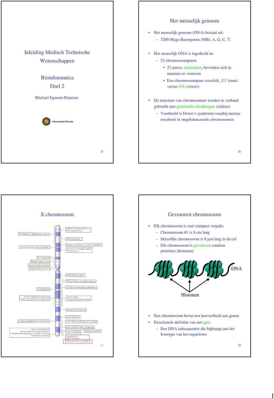 chromosoompaar verschilt, XY (man) versus XX (vrouw) De structuur van chromosomen worden in verband gebracht met genetische afwijkingen (ziektes) Voorbeeld is Down s syndroom waarbij meiose