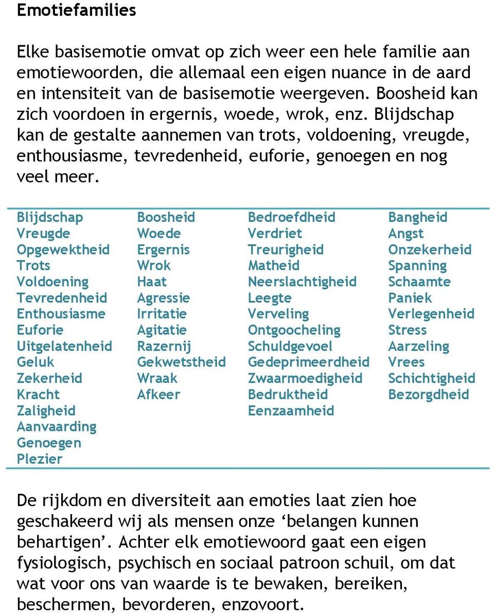 Blijdschap Vreugde Opgewektheid Trots Voldoening Tevredenheid Enthousiasme Euforie Uitgelatenheid Geluk Zekerheid Kracht Zaligheid Aanvaarding Genoegen Plezier Boosheid Woede Ergernis Wrok Haat