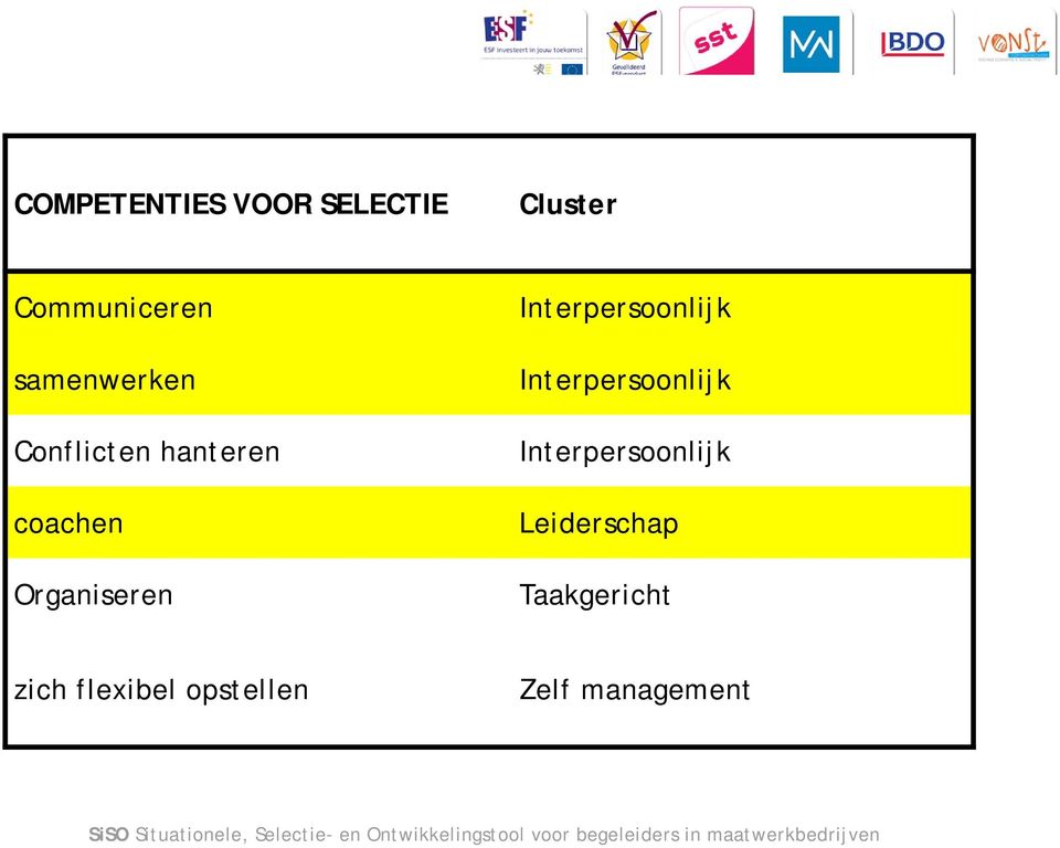 Leiderschap Taakgericht zich flexibel opstellen Zelf management SiSO