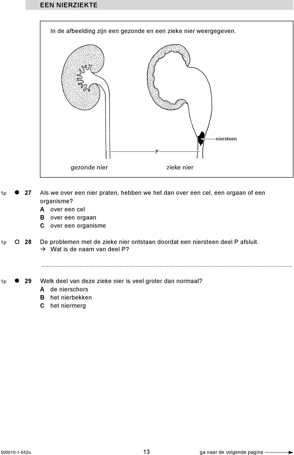 A over een cel B over een orgaan C over een organisme 1p 28 De problemen met de zieke nier ontstaan doordat een niersteen