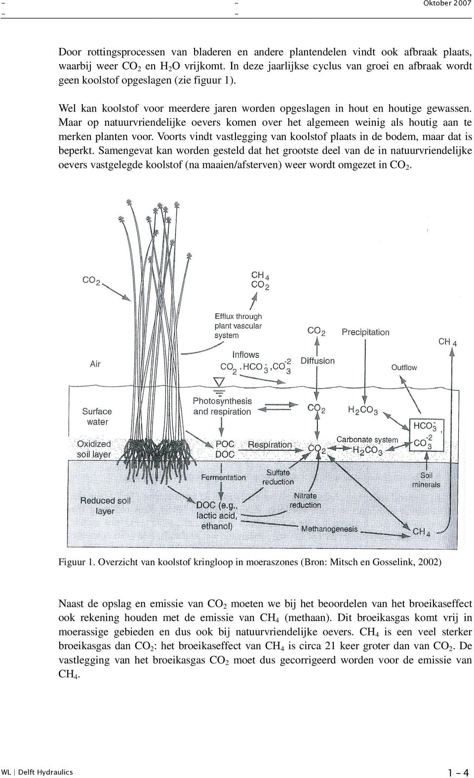 Maar op natuurvriendelijke oevers komen over het algemeen weinig als houtig aan te merken planten voor. Voorts vindt vastlegging van koolstof plaats in de bodem, maar dat is beperkt.