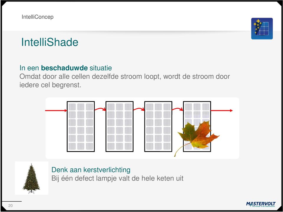 door iedere - Tweede cel begrenst.