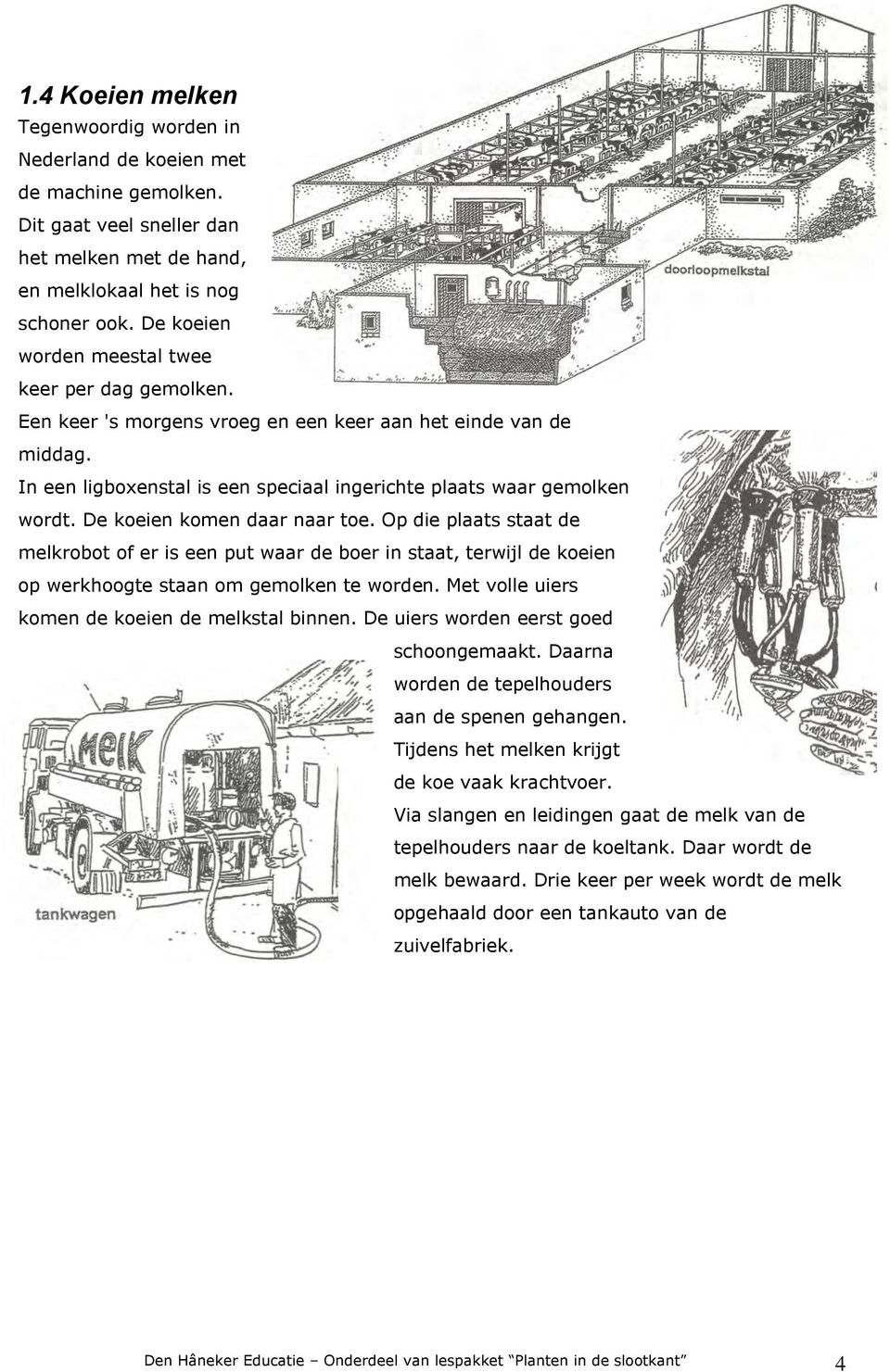 De koeien komen daar naar toe. Op die plaats staat de melkrobot of er is een put waar de boer in staat, terwijl de koeien op werkhoogte staan om gemolken te worden.