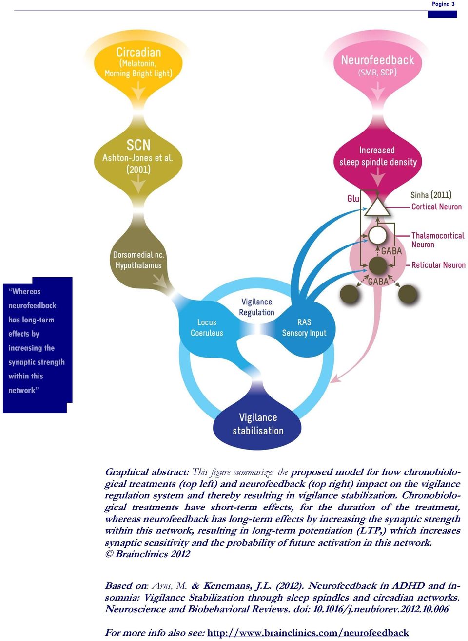 Chronobiological treatments have short-term effects, for the duration of the treatment, whereas neurofeedback has long-term effects by increasing the synaptic strength within this network, resulting