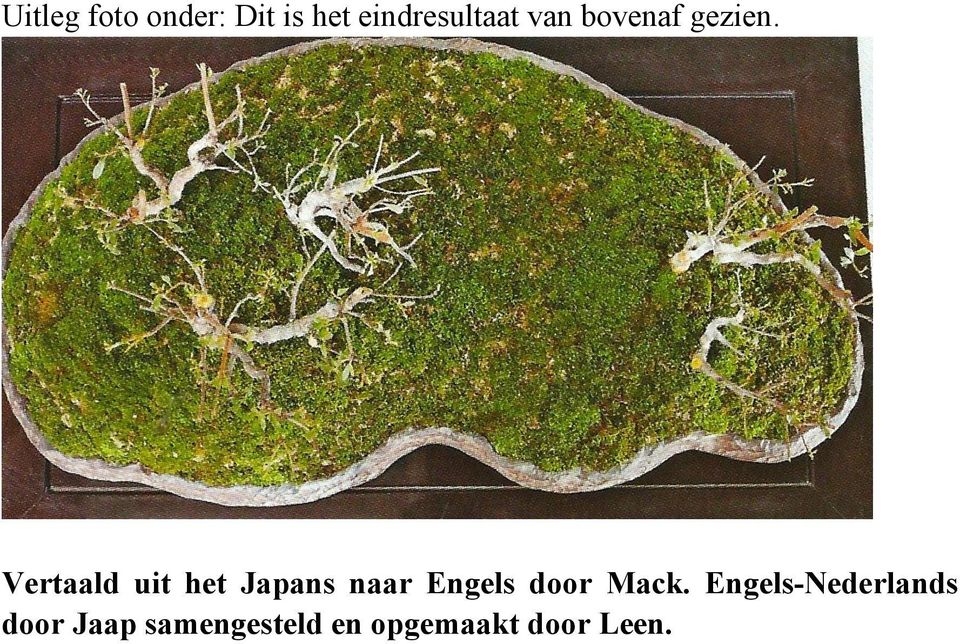 Vertaald uit het Japans naar Engels door