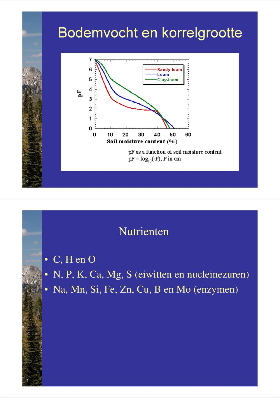 Mg, S (eiwitten en nucleinezuren)