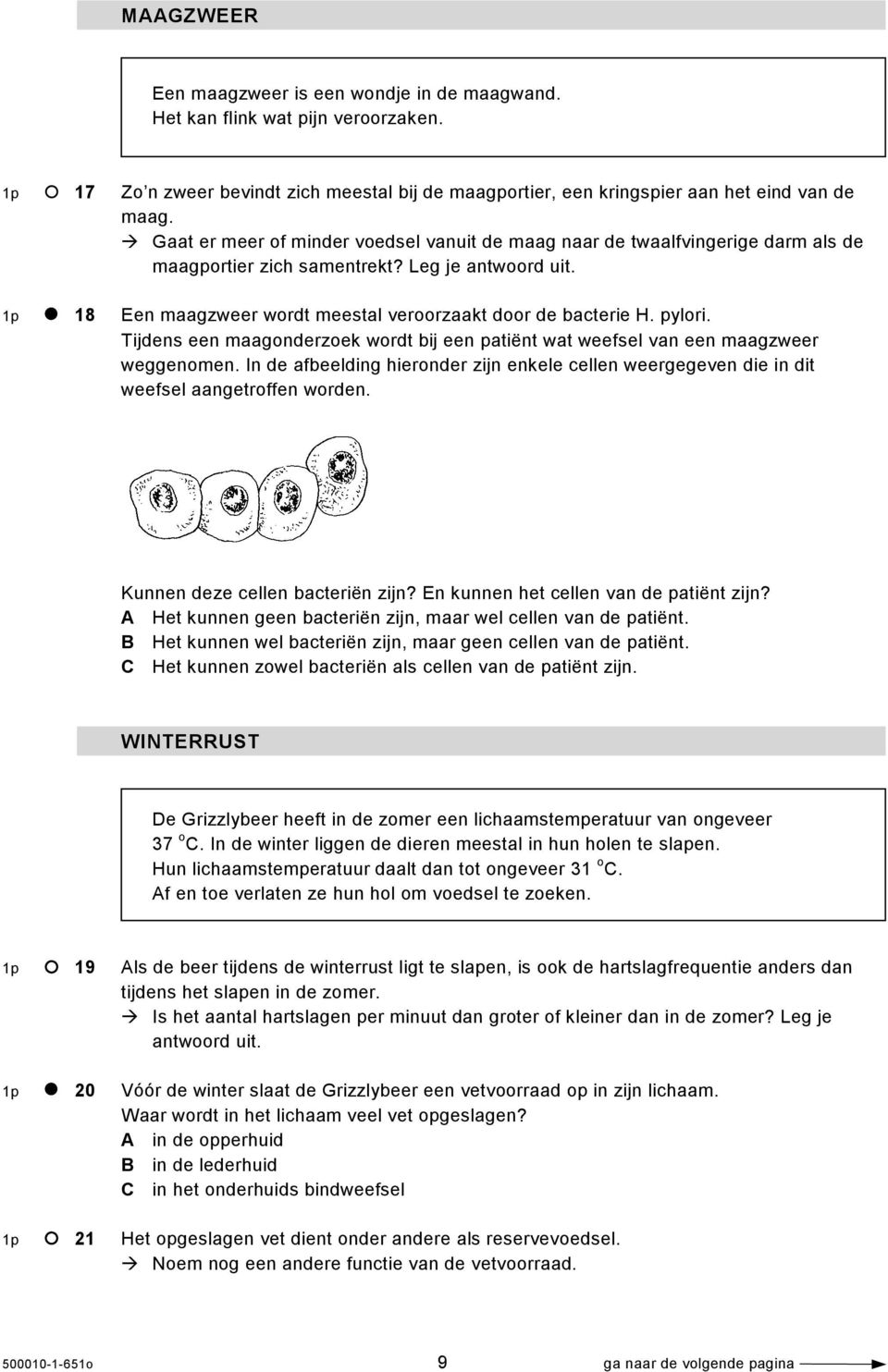 pylori. Tijdens een maagonderzoek wordt bij een patiënt wat weefsel van een maagzweer weggenomen. In de afbeelding hieronder zijn enkele cellen weergegeven die in dit weefsel aangetroffen worden.