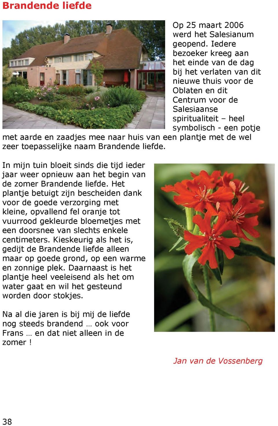 mee naar huis van een plantje met de wel zeer toepasselijke naam Brandende liefde. In mijn tuin bloeit sinds die tijd ieder jaar weer opnieuw aan het begin van de zomer Brandende liefde.