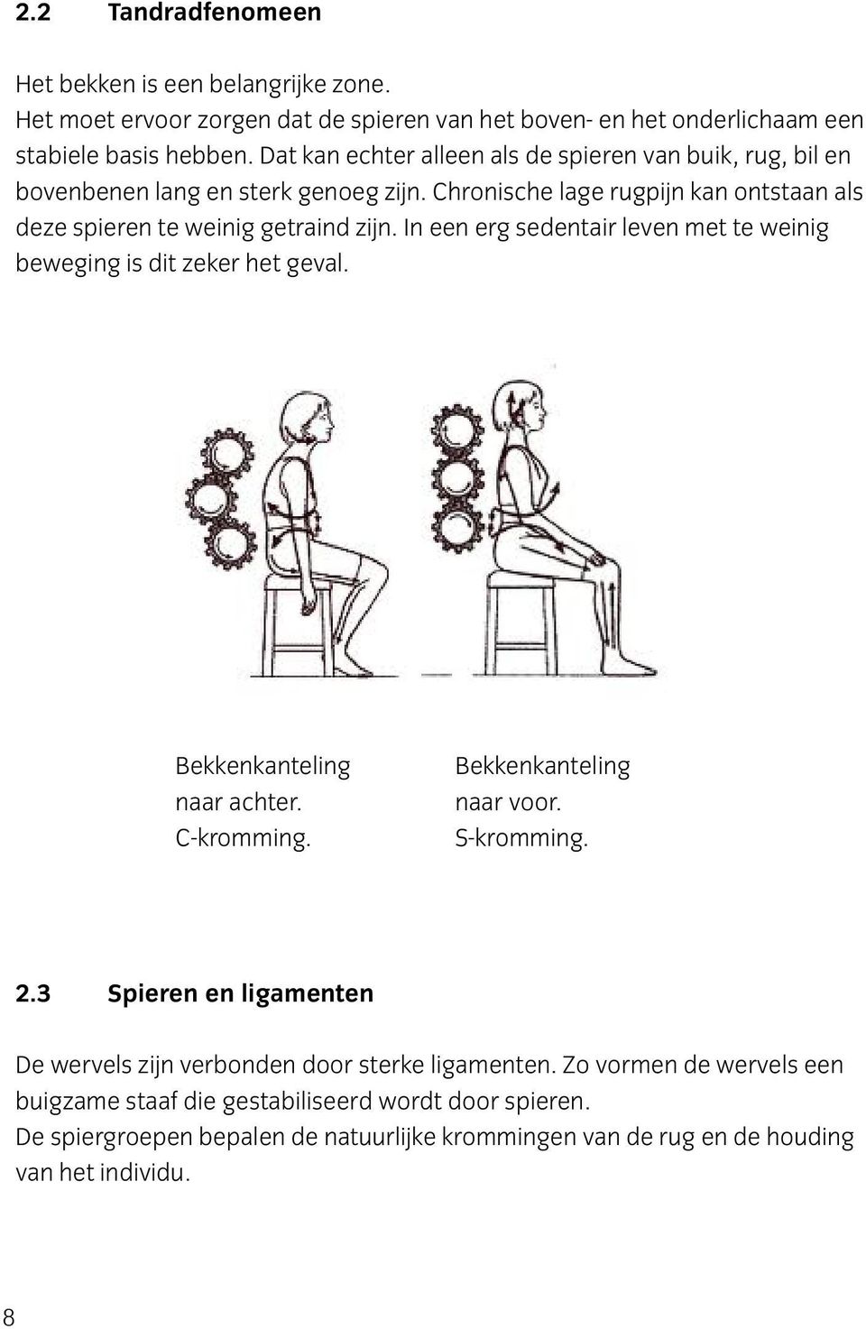 In een erg sedentair leven met te weinig beweging is dit zeker het geval. Bekkenkanteling naar achter. C-kromming. Bekkenkanteling naar voor. S-kromming. 2.