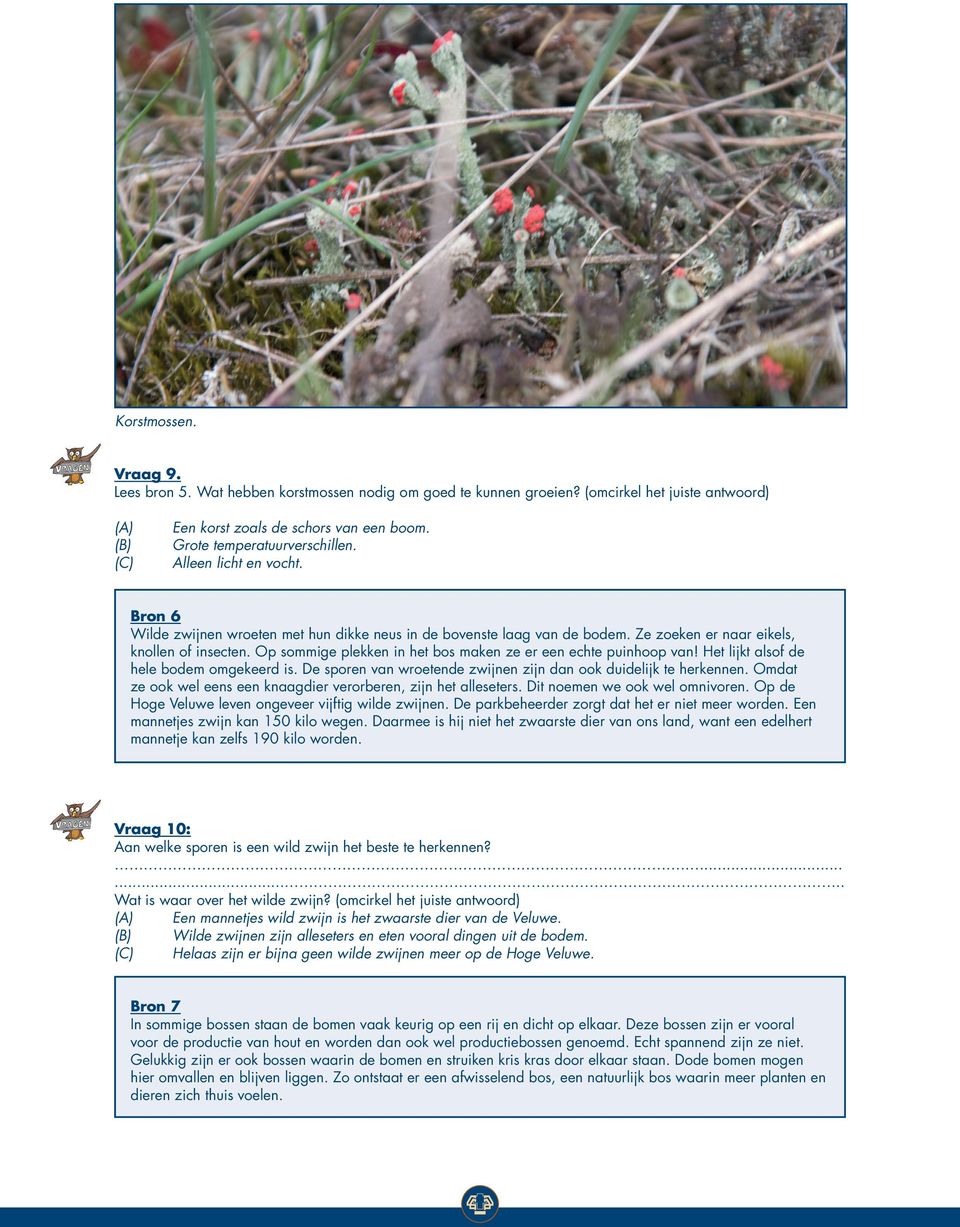 Op sommige plekken in het bos maken ze er een echte puinhoop van! Het lijkt alsof de hele bodem omgekeerd is. De sporen van wroetende zwijnen zijn dan ook duidelijk te herkennen.