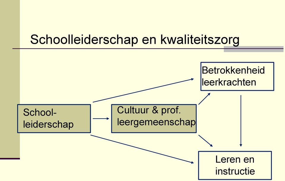 leerkrachten Schoolleiderschap