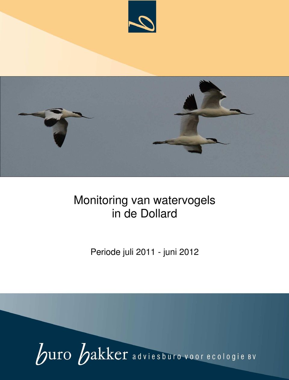 Dollard Periode