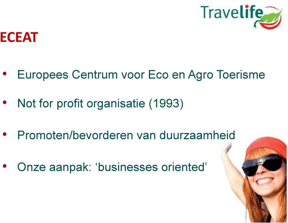 organisatie (1993) Promoten/bevorderen