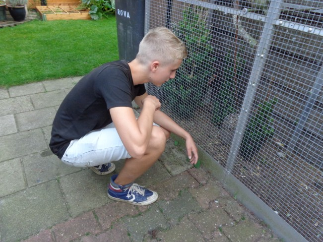 Onze kweker: Jeugdlid Wilco Heres De meeste jeugdleden in de vogelliefhebberij hebben hun liefde voor de vogels overgeërfd van hun vader of soms zelfs van hun grootvader!