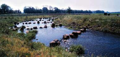 KRW PILOT RUITEN AA 13 Adviesbureau Arcadis heeft in het Groningse Westerwolde een studie uitgevoerd naar de gevolgen van de Europese Kaderrichtlijn Water.