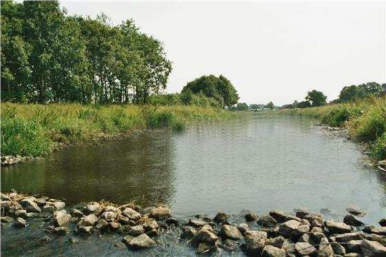 natgradiënten. Omdat de beek en de beekbedding extensief worden onderhouden, zal op deze gradiënten onder andere (wilgen)struweel zich ontwikkelen. In het winterbed worden ook enkele poelen gegraven.