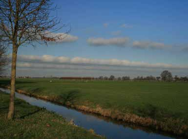 5.6 Natuur en landschap Rijnhof ligt in het landschap van het Groene Hart, op de overgang van het oeverwal en het veenweidegebied.