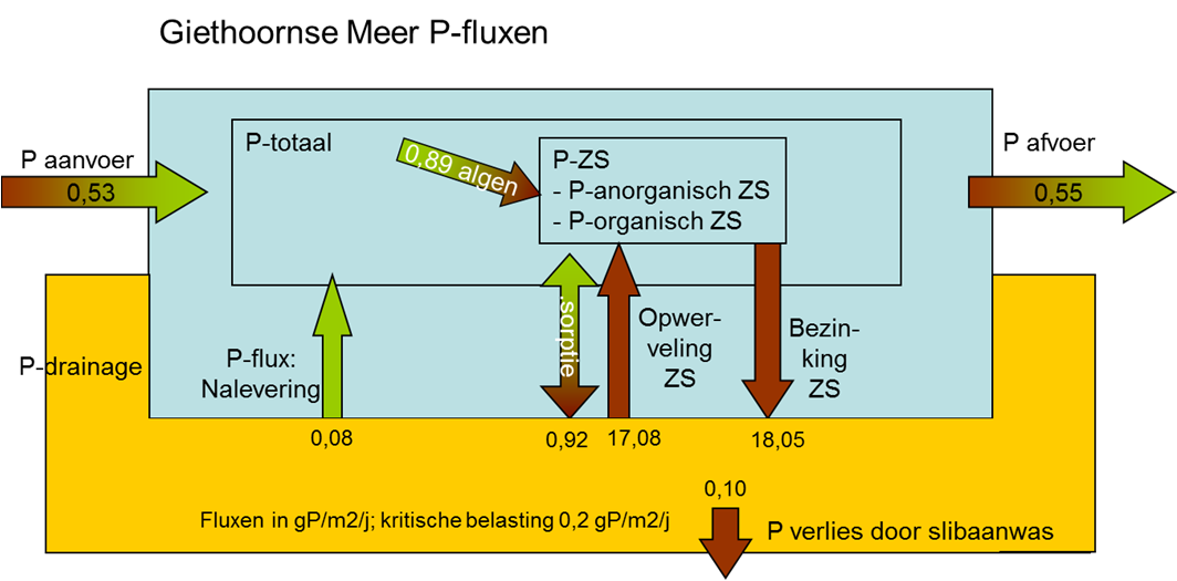 4.3.4 SLIBDIAGNOSE Figuur 37 en Figuur 38 geven de jaargemiddelde P en ZS fluxen voor het Giethoornse Meer. De grootste fluxen zijn opwerveling en sedimentatie. Netto treedt sedimentatie op.