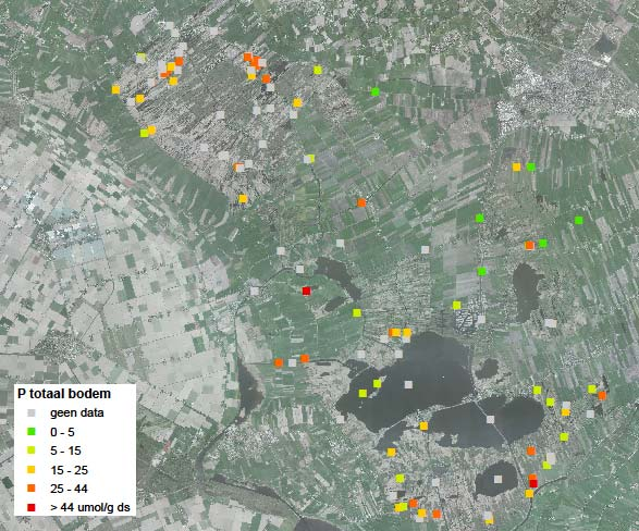 Slechts 1 van de meetpunten wordt op basis hiervan gekenmerkt als eutroof. Binnen Baggernut worden indicatieve grenzen gegeven voor de P concentratie in het anaeroob verzamelde bodemvocht.