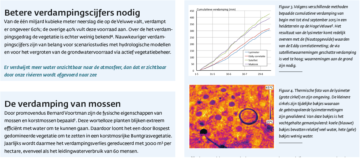 Verdamping