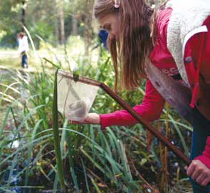 + + + + BIOTOOPSTUDIES Als natuuronderzoeker tref je op de Hoge Rielen drie interessante biotopen aan: < < water We scheppen waterdiertjes en bestuderen ze: wat is hun naam? Hoe ademen ze?