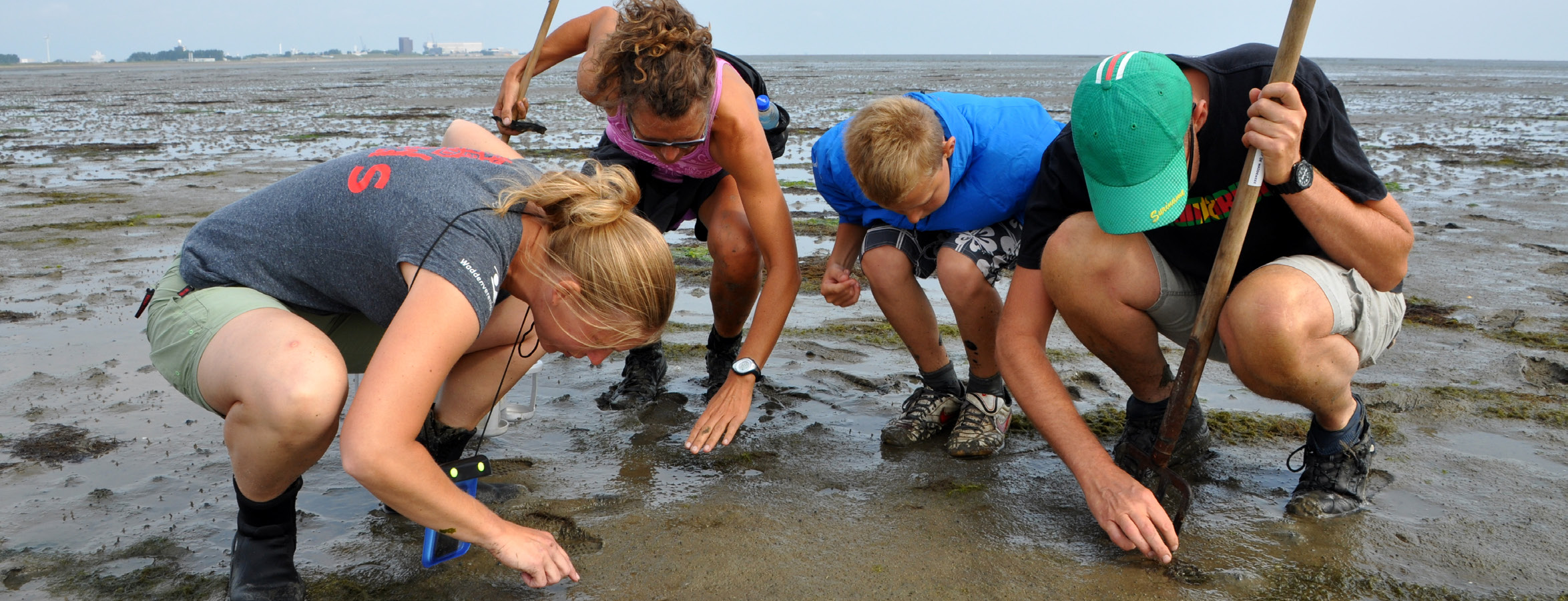 Hoe we werken De Waddenvereniging is ontstaan als protest van een groep bevlogen wadliefhebbers tegen de vergaande inpolderingsplannen van de Waddenzee.