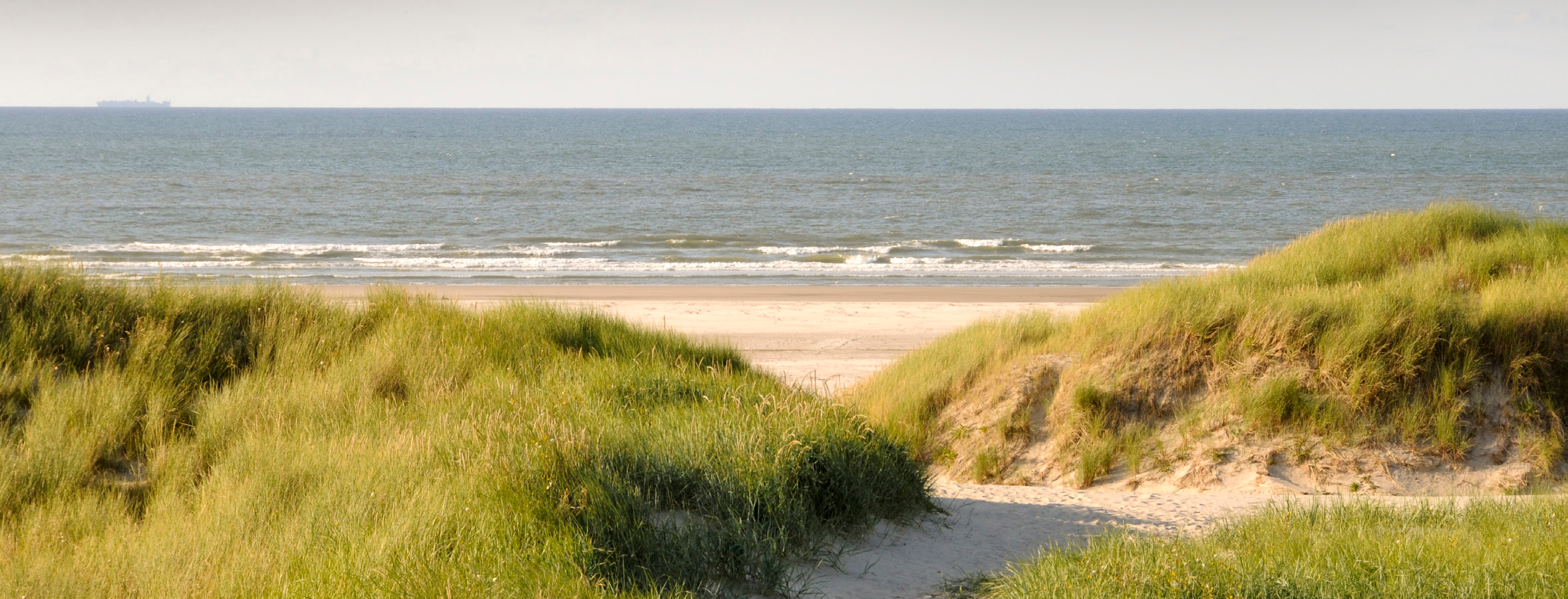 Waar we voor kiezen Alles wat de Waddenvereniging doet, doen we voor het waddengebied. Het liefst houden we alles in de gaten.