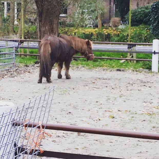 Tijd voor de kinderboerderij.