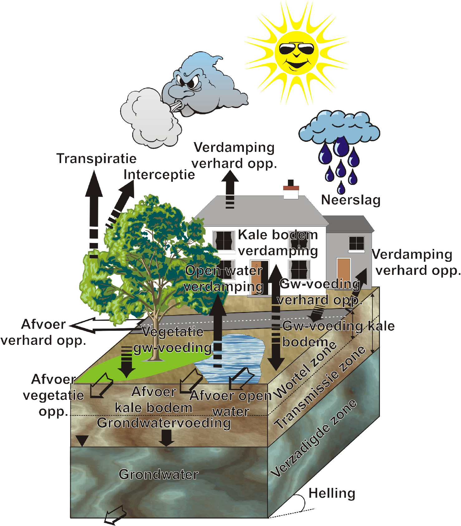 Figuur 1: Schematische voorstelling van het etspass-model met aanduiding van de verschillende componenten in de waterbalans voor (Figuur 2).